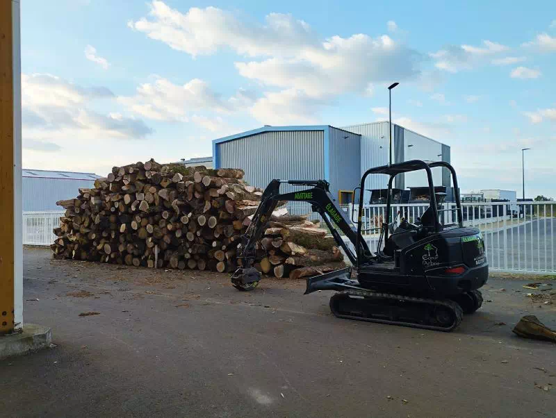 Bois de chauffage à Brétignolles sur Mer