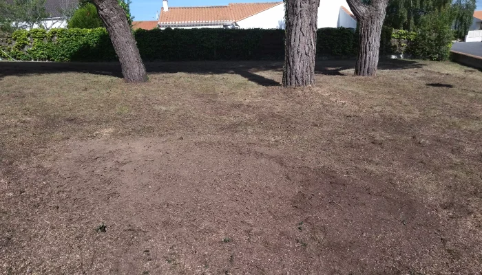 Réalisation d'un abattage d'arbre par Au Coeur de L'Arbre, élagueur à L'Aiguillon-sur-Vie