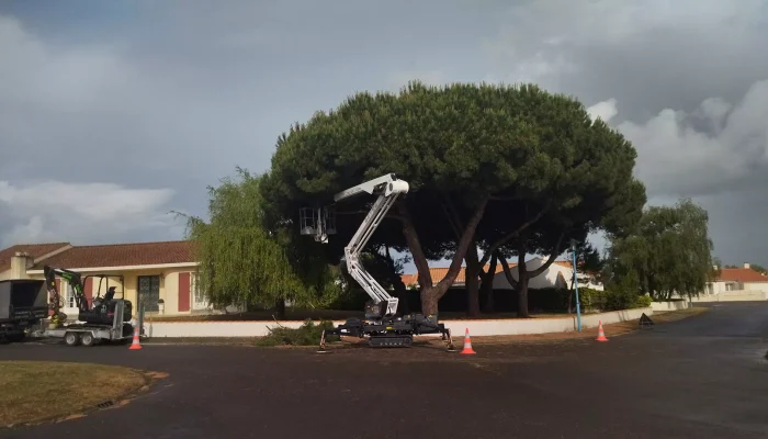 Réalisation d'un abattage d'arbre par Au Coeur de L'Arbre, élagueur à L'Aiguillon-sur-Vie