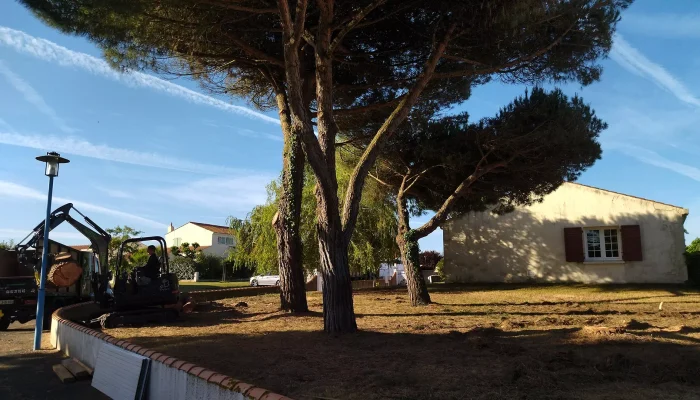 Réalisation d'un abattage d'arbre par Au Coeur de L'Arbre, élagueur à L'Aiguillon-sur-Vie