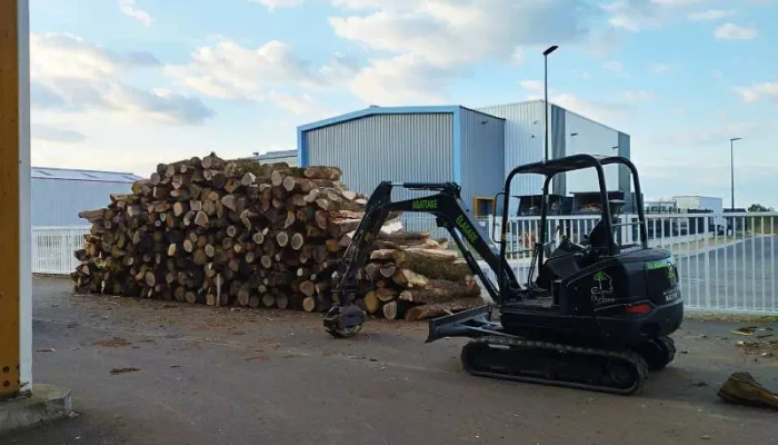 Bois de chauffage à Brétignolles sur Mer